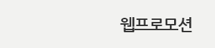 웹프로모션